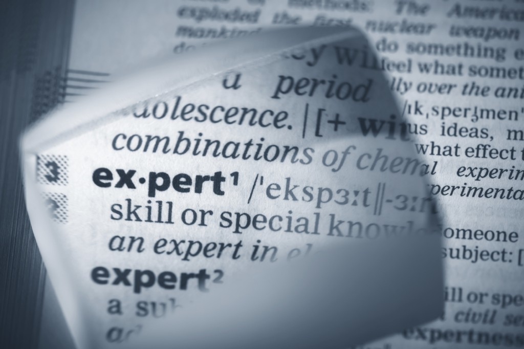 define expert witness