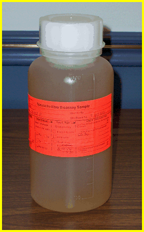 urine sample